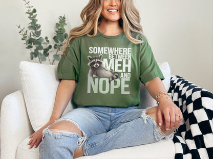 Somewhere Between Meh and Nope